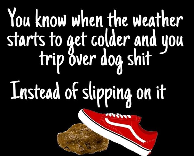 photo caption - You know when the weather starts to get colder and you trip over dog shit Instead of slipping on it