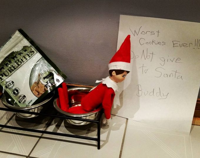 christmas elf on the shelf ideas - Worst Cookies Ever!!! Do Not to give Santa buddy