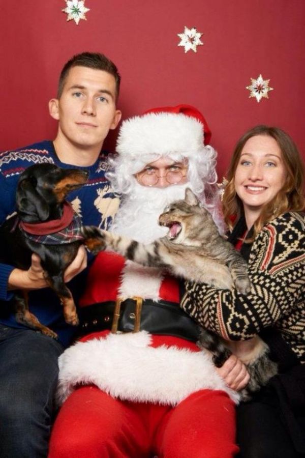 family christmas pictures with pets - Will