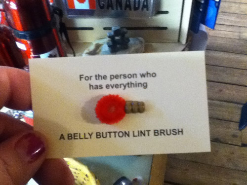 funny birthday present - Gana For the person who has everything A Belly Button Lint Brush