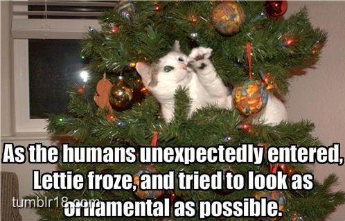 funny cat in christmas tree - As the humans unexpectedly entered, Lettie froze, and tried to look as tumblr1 as possible.