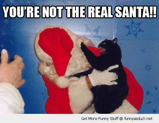 cats with santa - You'Re Not The Real Santa!! Get More Funny Stuff @ funnyasduck.net