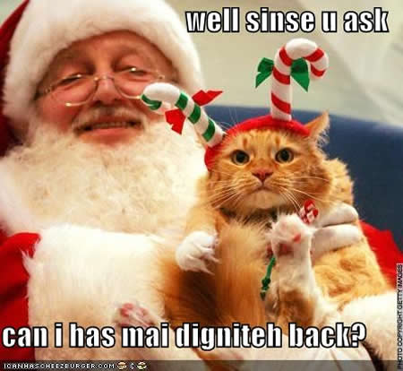 cats with santa - well sinse u ask can i has mai digniteh backa Ooo Od Icanhascheezburger Como