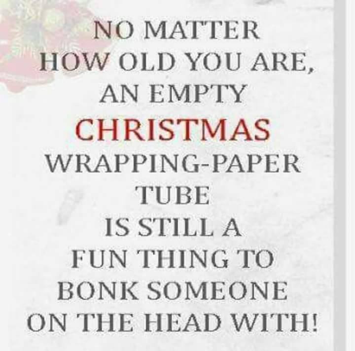 empty christmas wrapping tube funny - No Matter How Old You Are, An Empty Christmas WrappingPaper Tube Is Still A Fun Thing To Bonk Someone On The Head With!