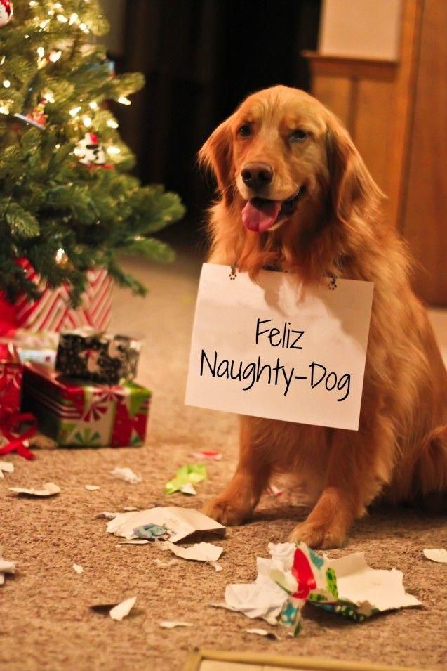 dog christmas - Feliz NaughtyDog