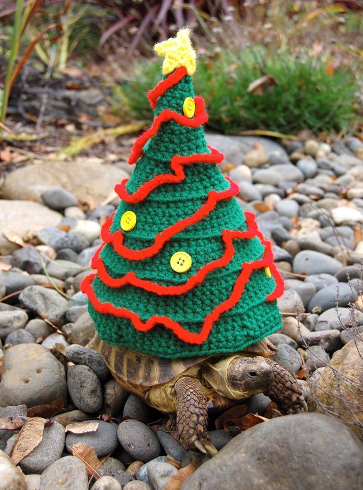 cute christmas tortoises