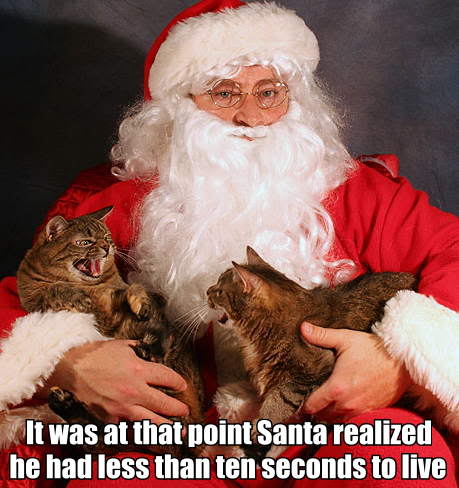 cats with santa - It was at that point Santa realized he had less than ten seconds to live