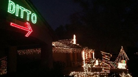 ditto christmas lights - Ditto