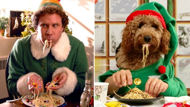 31 Hilarious Christmas pictures