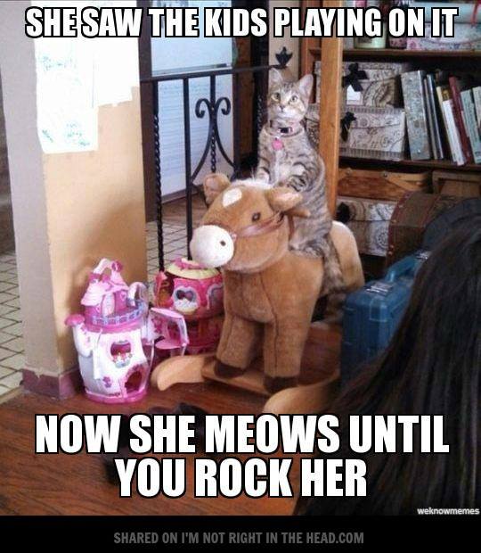 cat rocking horse - She Saw The Kids Playing On It Now She Meows Until You Rock Her wekinowmemes d On I'M Not Right In The Head.Com