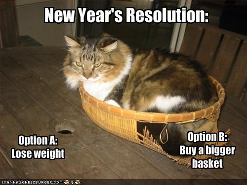 happy new year funny cat - New Year's Resolution Option A Lose weight Option B Buy a bigger basket Icanhascheezburger.Com