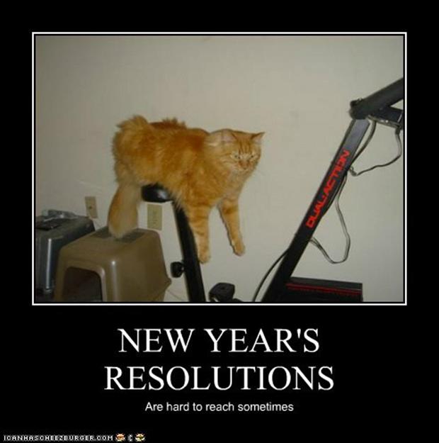 funny new year - mo New Year'S Resolutions Are hard to reach sometimes Tcaneascheezburger.Com