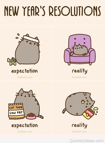 new year resolutions humor - New Year'S Resolutions expectation reality Pusheen.com Pusten.com Cat Food Low Fat expectation reality Pusheen.com Pusheen com QuotesIdeas.com