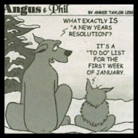 don t make new year's resolutions - Anguss Phil By Anne Taylor What Exactly Is "A New Years Resolution? It'S A "To Do List For The First Week Of January