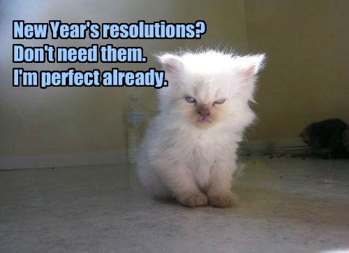 photo caption - New Year's resolutions? Don't need them. I'm perfect already.