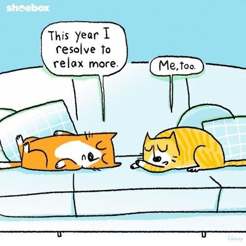 animal new years resolutions - sheebox This year I resolve to relax more. Me,too.