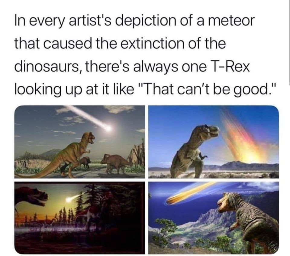 dinosaur aye bruh that shit looks kinda close - In every artist's depiction of a meteor that caused the extinction of the dinosaurs, there's always one TRex looking up at it "That can't be good."