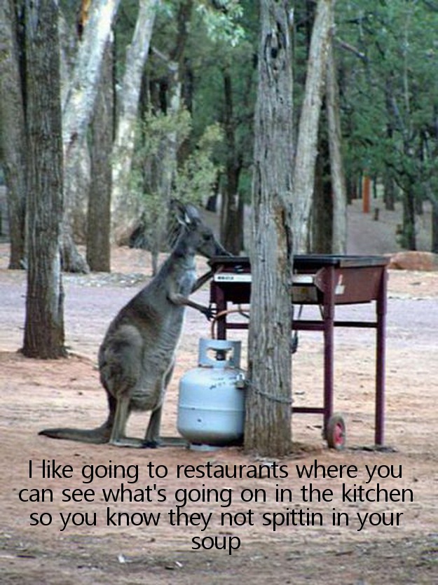 australian animal funny - I going to restaurants where you can see what's going on in the kitchen so you know they not spittin in your soup