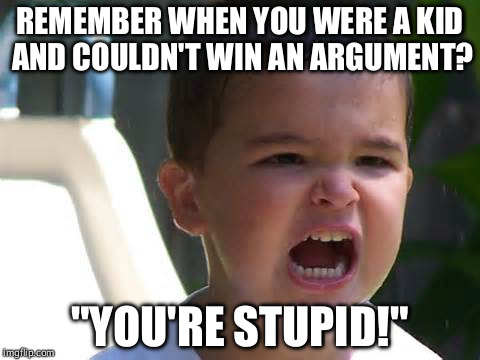 photo caption - Remember When You Were A Kid And Couldn'T Win An Argument? "You'Re Stupid!" imgflip.com