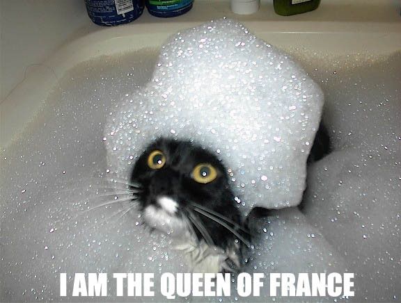 queen of france cat - Tam The Queen Of France