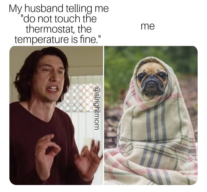 Dog - My husband telling me "do not touch the thermostat, the temperature is fine." me