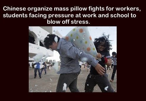 photo caption - Chinese organize mass pillow fights for workers, students facing pressure at work and school to blow off stress.
