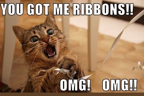you got me ribbons omg omg cat - You Got Me Ribbons!! Omg! Omg!!