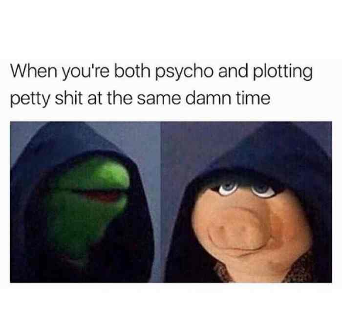 miss piggy meme - When you're both psycho and plotting petty shit at the same damn time