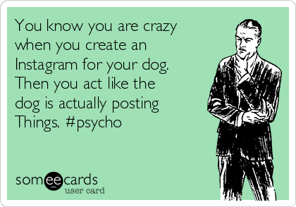 happy birthday smartass - You know you are crazy when you create an Instagram for your dog. Then you act the dog is actually posting Things. someecards user card