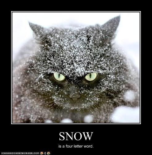 snow quotes funny - Snow is a four letter word. Icanaascherzburger.Coh