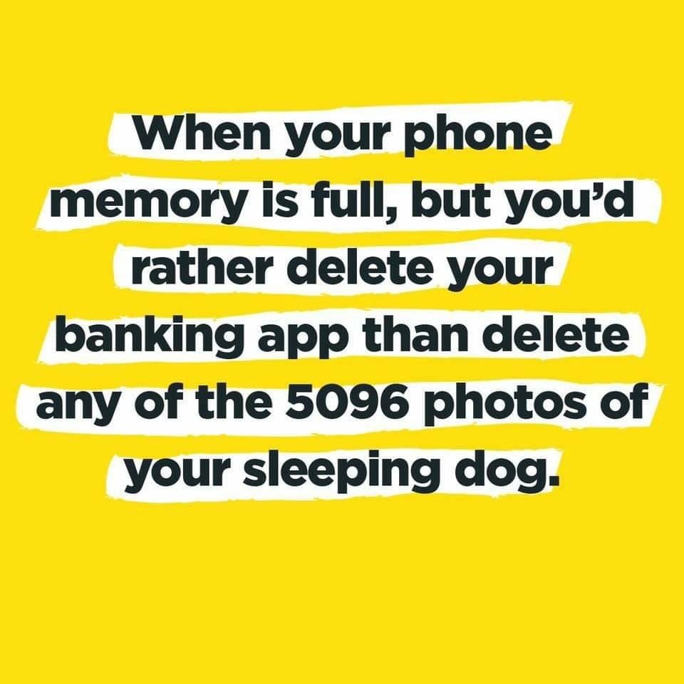 number - When your phone memory is full, but you'd rather delete your banking app than delete any of the 5096 photos of your sleeping dog.