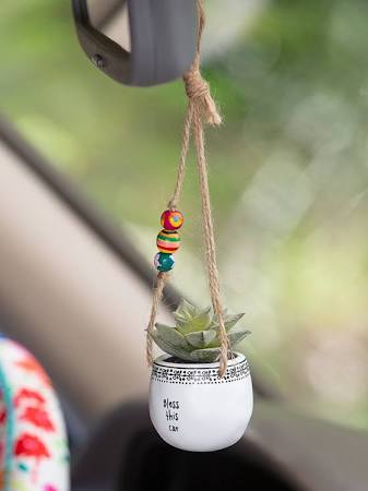 hanging succulents for car