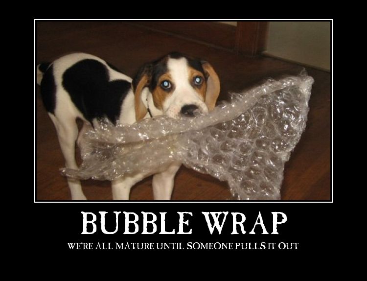 funny bubble wrap memes - Bubble Wrap We'Re All Mature Until Someone Pullsit Out