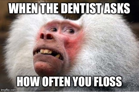 funny dental memes - When The Dentistasks How Often You Floss imgflip.com