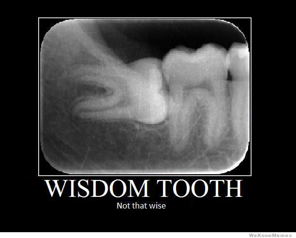 wise tooth - Wisdom Tooth Not that wise We Know Memes