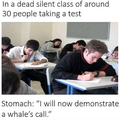 silent class memes - In a dead silent class of around 30 people taking a test Stomach "I will now demonstrate a whale's call."