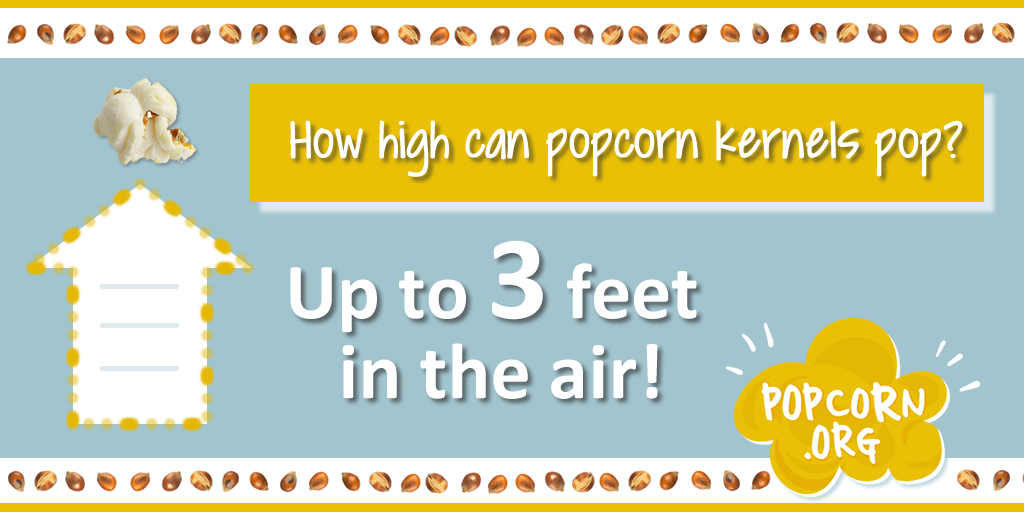 popcorn facts - How high can popcorn kernels pop? Up to 3 feet in the air! Popcorn .Org