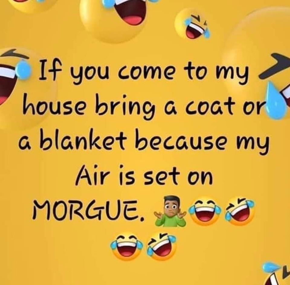 cartoon - If you come to my house bring a coat or a blanket because my Air is set on Morgue.