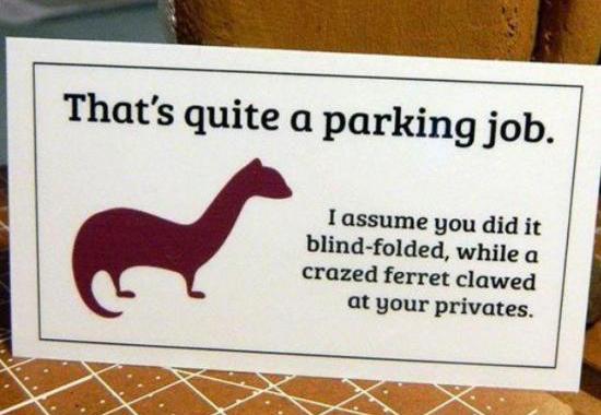 funny parking tickets - That's quite a parking job. I assume you did it blindfolded, while a crazed ferret clawed at your privates.