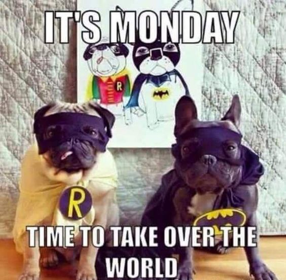 it's monday time to take over the world - It'S Monday Time To Take Over The World