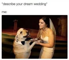 memes funny - 'describe your dream wedding" me