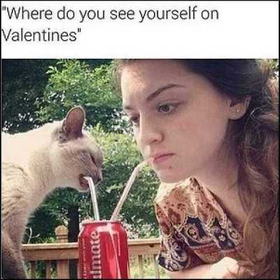 valentines day memes funny - "Where do you see yourself on Valentines" umate