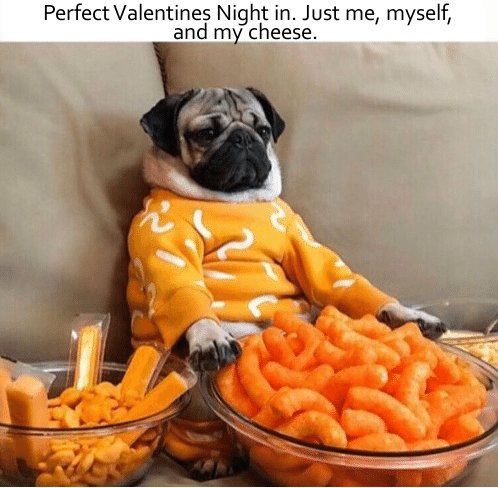 cheesy doug the pug puzzle - Perfect Valentines Night in. Just me, myself, and my cheese.