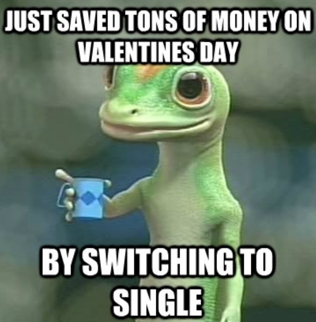 valentines funny memes - Just Saved Tons Of Money On Valentines Day By Switching To Single