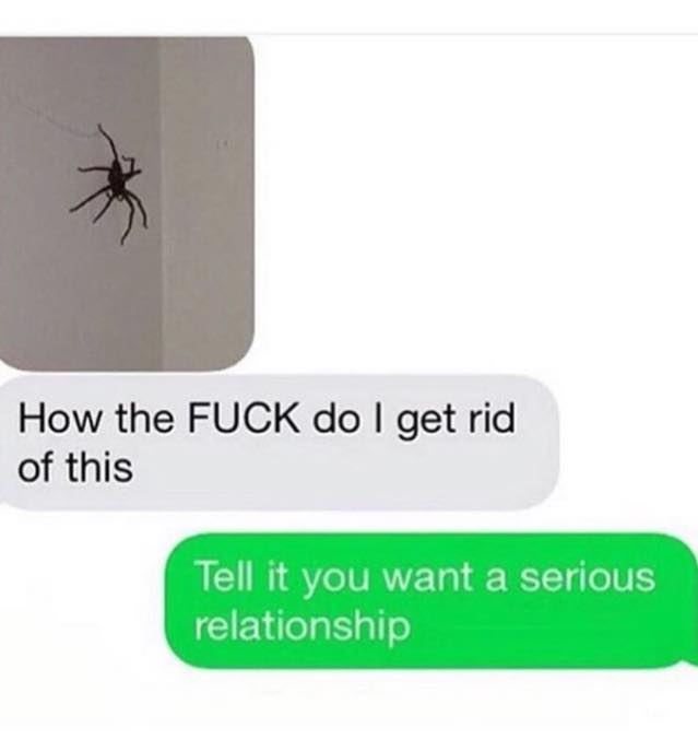 you want a serious relationship meme - How the Fuck do I get rid of this Tell it you want a serious relationship