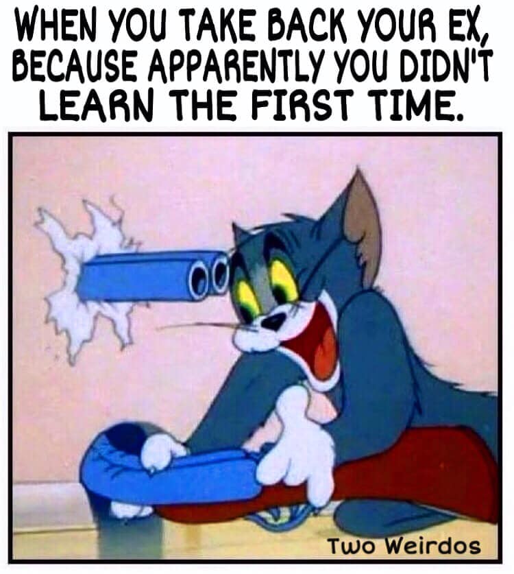 memes on tom and jerry - When You Take Back Your Ex, Because Apparently You Didn'T Learn The First Time. Two Weirdos