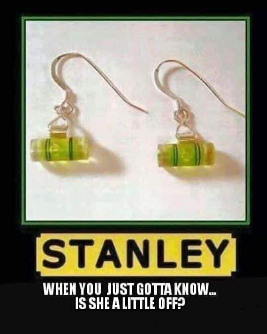 stanley earrings meme - Stanley When You Just Gotta Know... Is She A Little Off?