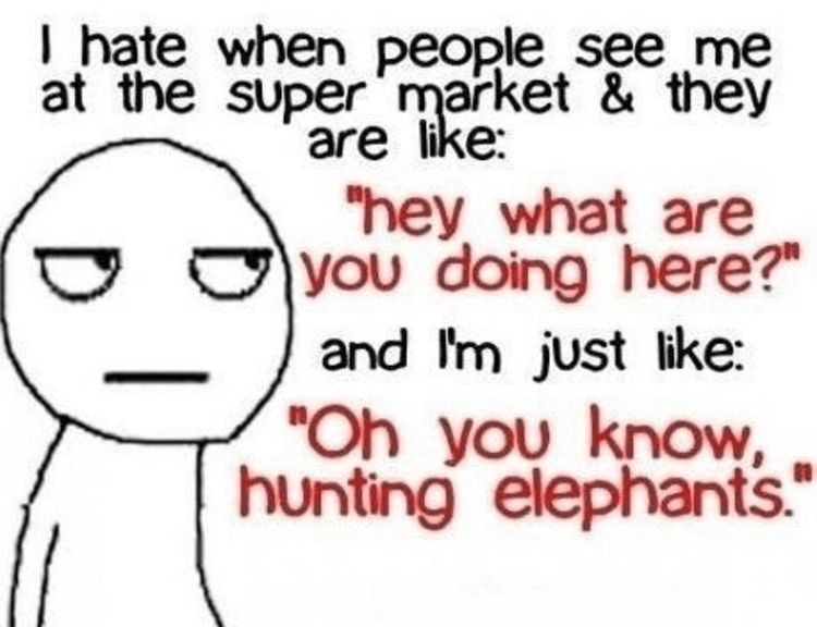 sarcasm jokes - I hate when people see me at the super market & they are "hey what are you doing here?" and I'm just "Oh you know, hunting elephants."