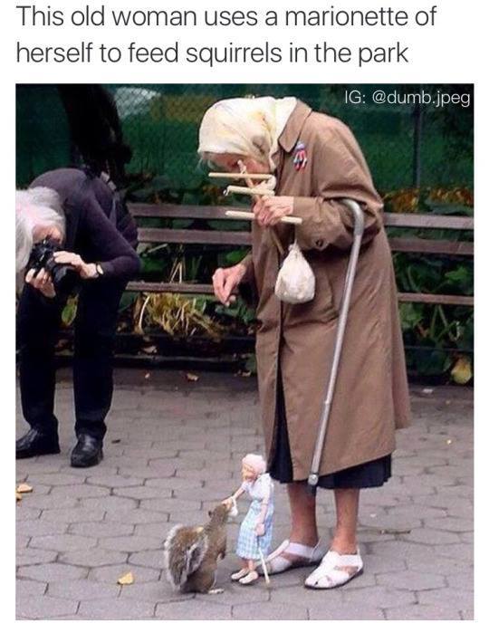 old woman uses marionette to feed squirrels - This old woman uses a marionette of herself to feed squirrels in the park Ig .jpeg