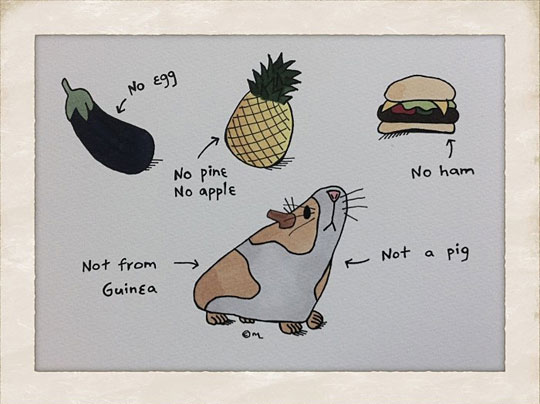funny english language - No 499 No ham No pine No apple Not Not a pig from Guinea